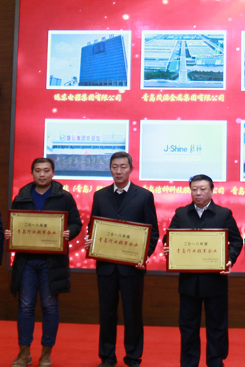 民營企業(yè)高質(zhì)量發(fā)展，德才集團(tuán)再獲殊榮領(lǐng)跑民企(圖6)