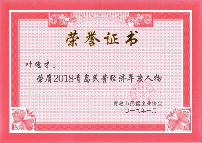 民營企業(yè)高質(zhì)量發(fā)展，德才集團(tuán)再獲殊榮領(lǐng)跑民企(圖7)