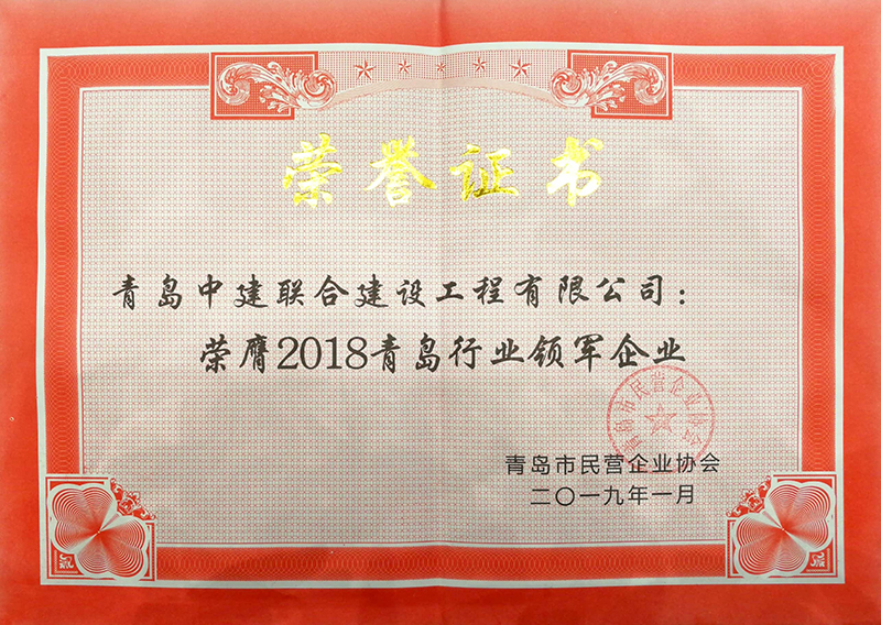 民營企業(yè)高質(zhì)量發(fā)展，德才集團(tuán)再獲殊榮領(lǐng)跑民企(圖8)