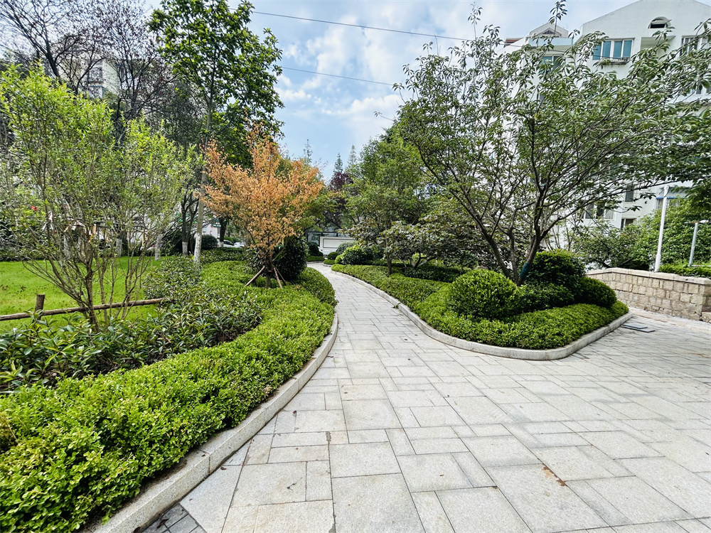 創(chuàng)新模式打造品質(zhì)社區(qū)——青島市永嘉路二片區(qū)老舊小區(qū)改造項目(圖12)