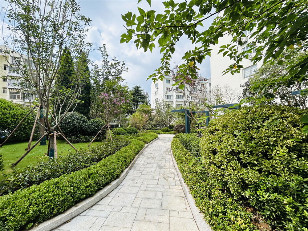 創(chuàng)新模式打造品質(zhì)社區(qū)——青島市永嘉路二片區(qū)老舊小區(qū)改造項目(圖13)