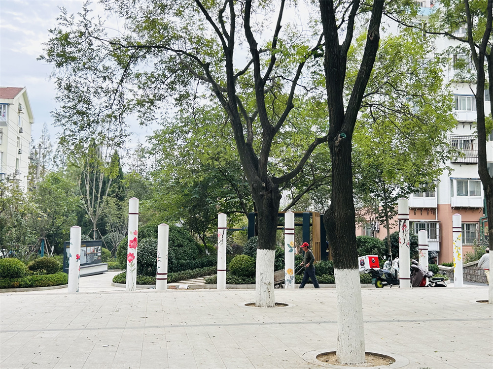 創(chuàng)新模式打造品質(zhì)社區(qū)——青島市永嘉路二片區(qū)老舊小區(qū)改造項目(圖14)